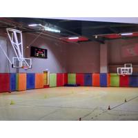 Tavana Katlanır Motorlu Basket Potası
