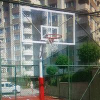 Tek Direkli Basket Potası